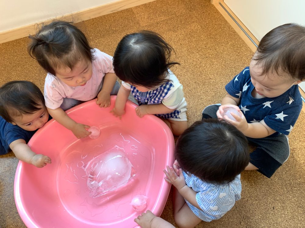 子ども達の広がる世界（０歳児　れんげ組）